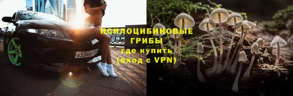 прущие грибы Суровикино